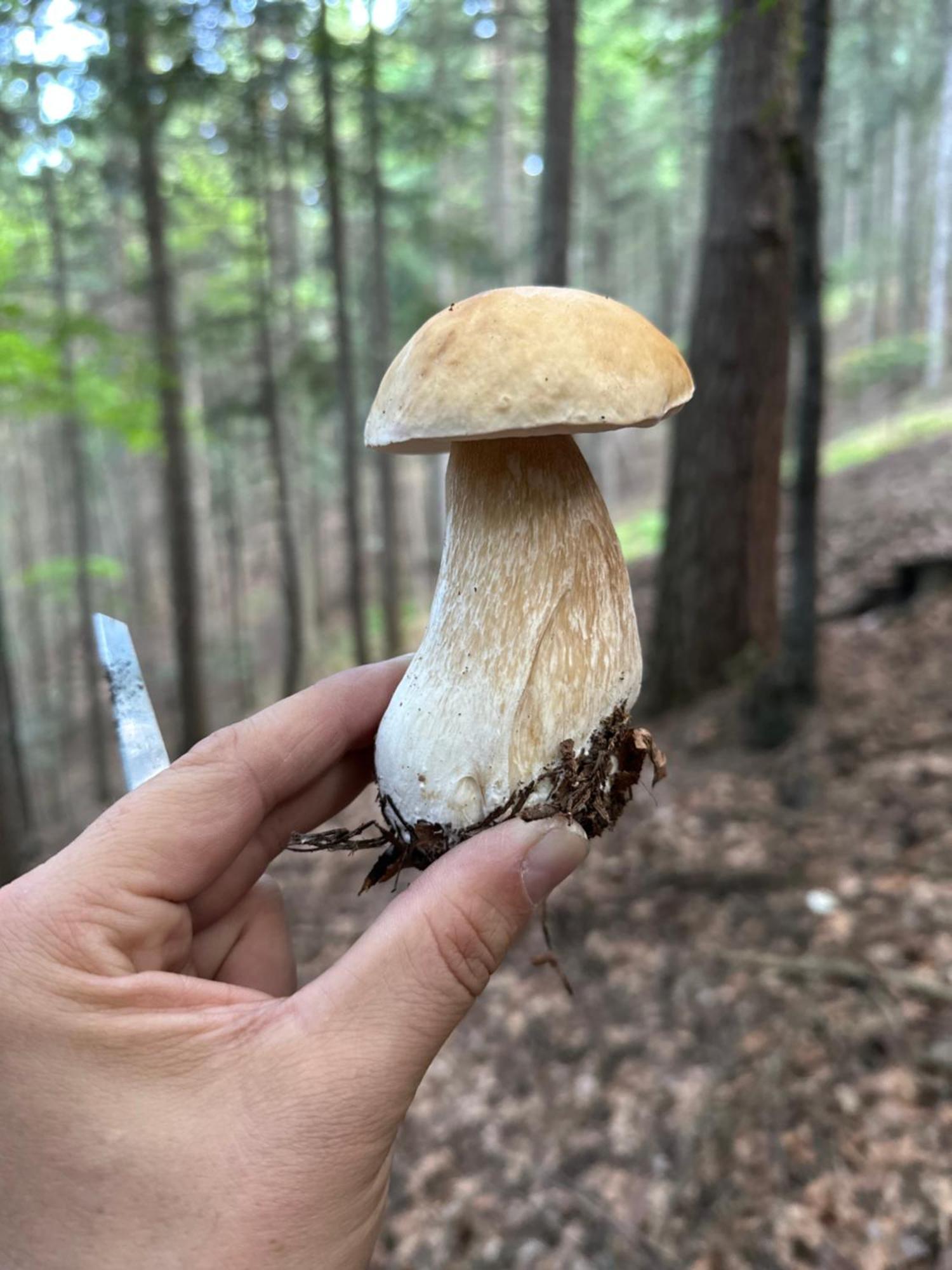Dom Wypoczynkowy Pod Polanka Korbielów Exteriör bild