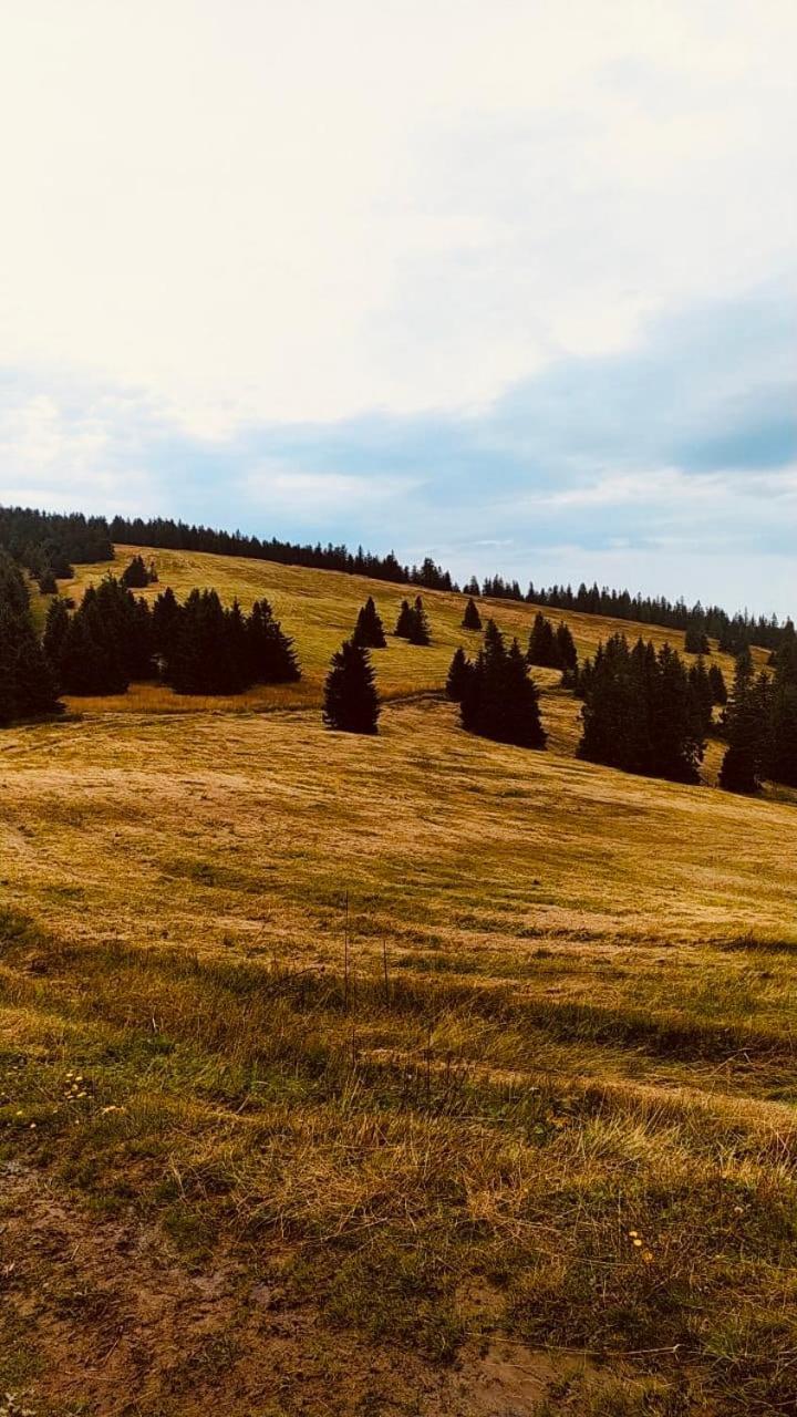 Dom Wypoczynkowy Pod Polanka Korbielów Exteriör bild