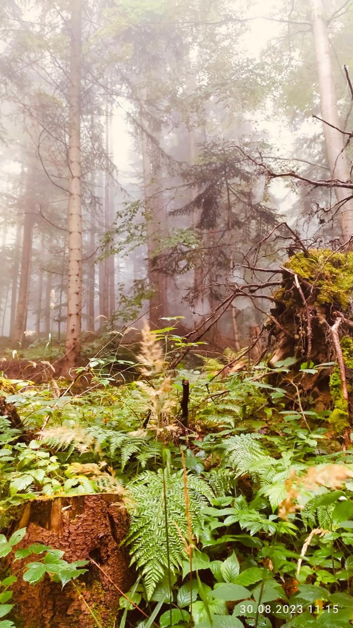 Dom Wypoczynkowy Pod Polanka Korbielów Exteriör bild