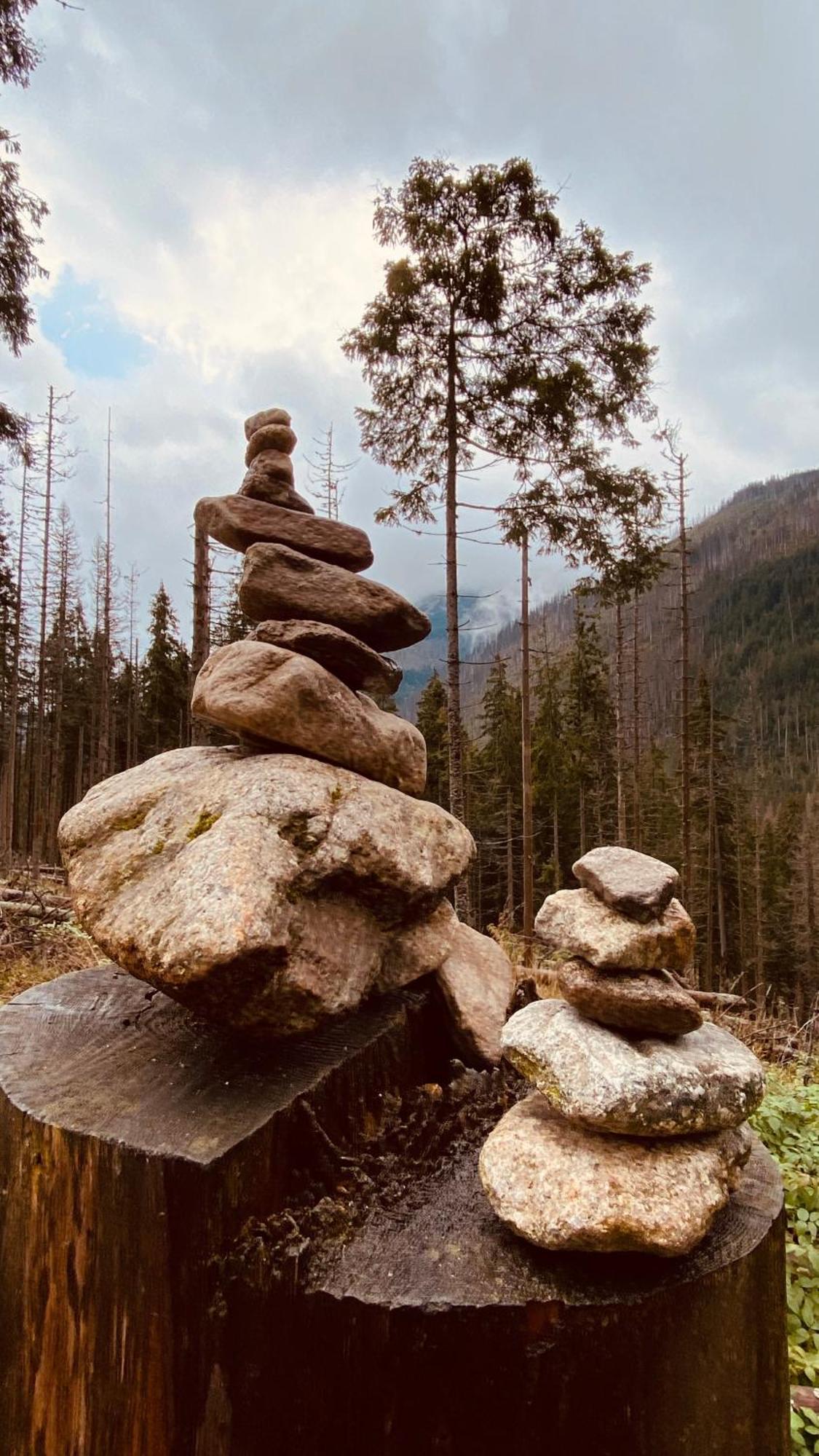 Dom Wypoczynkowy Pod Polanka Korbielów Exteriör bild