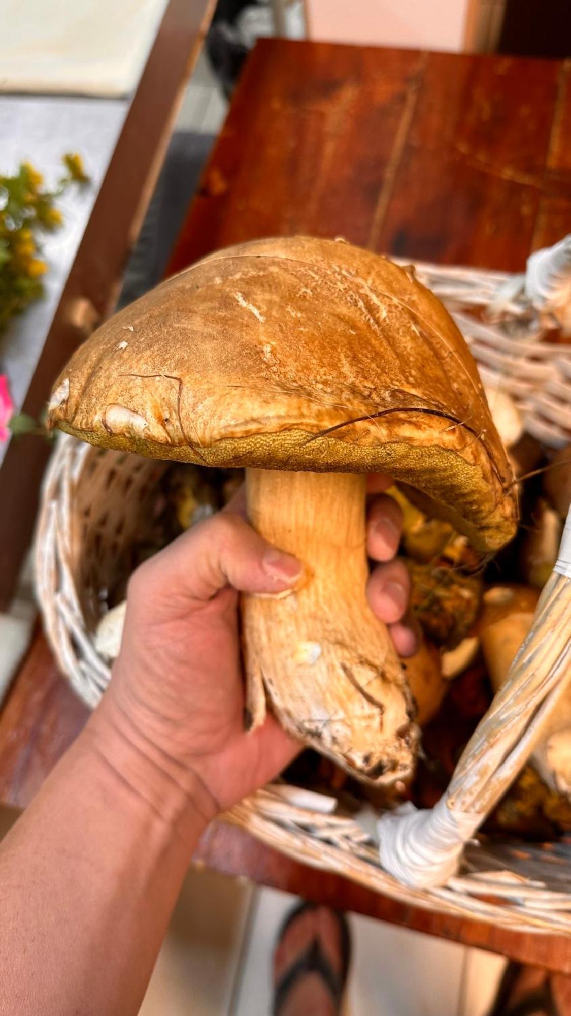 Dom Wypoczynkowy Pod Polanka Korbielów Exteriör bild